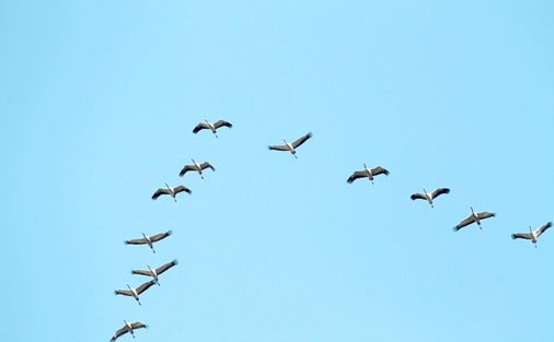 how our software companies maintain autonomy